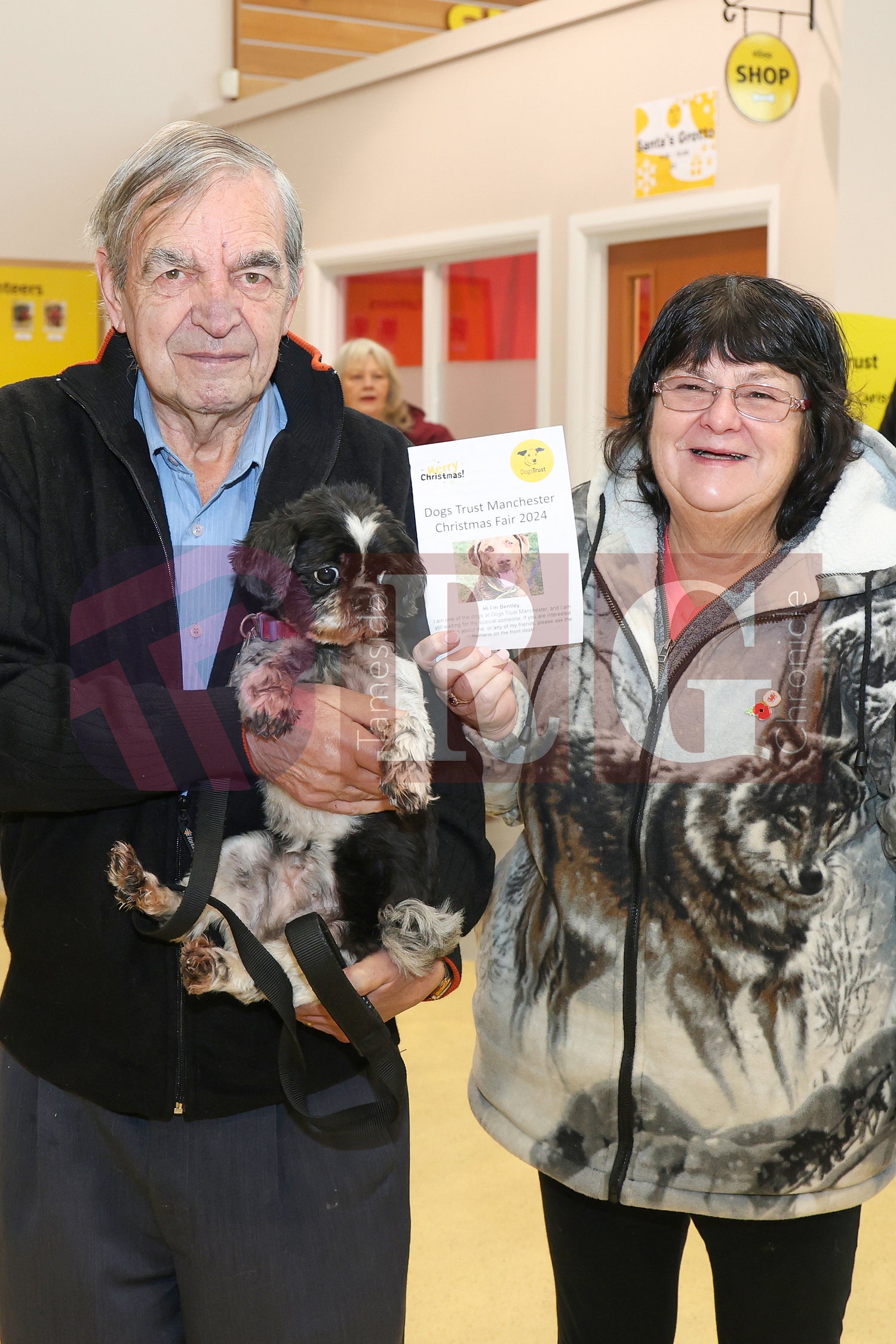 DOG TRUST DENTON XMAS (74).JPG