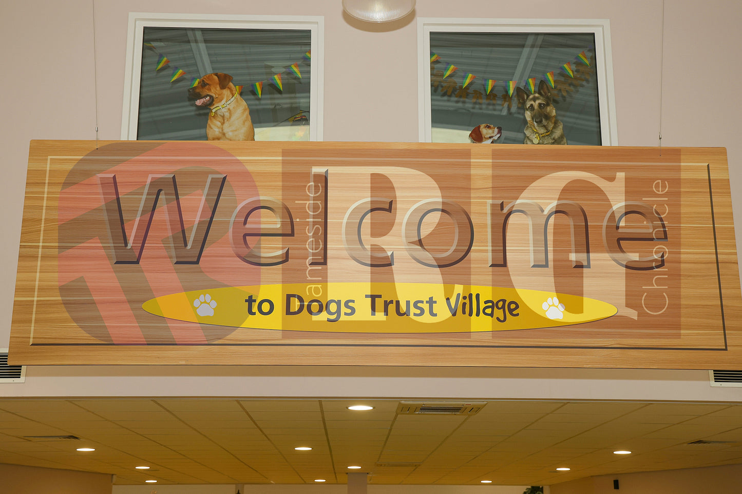 DOG TRUST DENTON XMAS (29).JPG