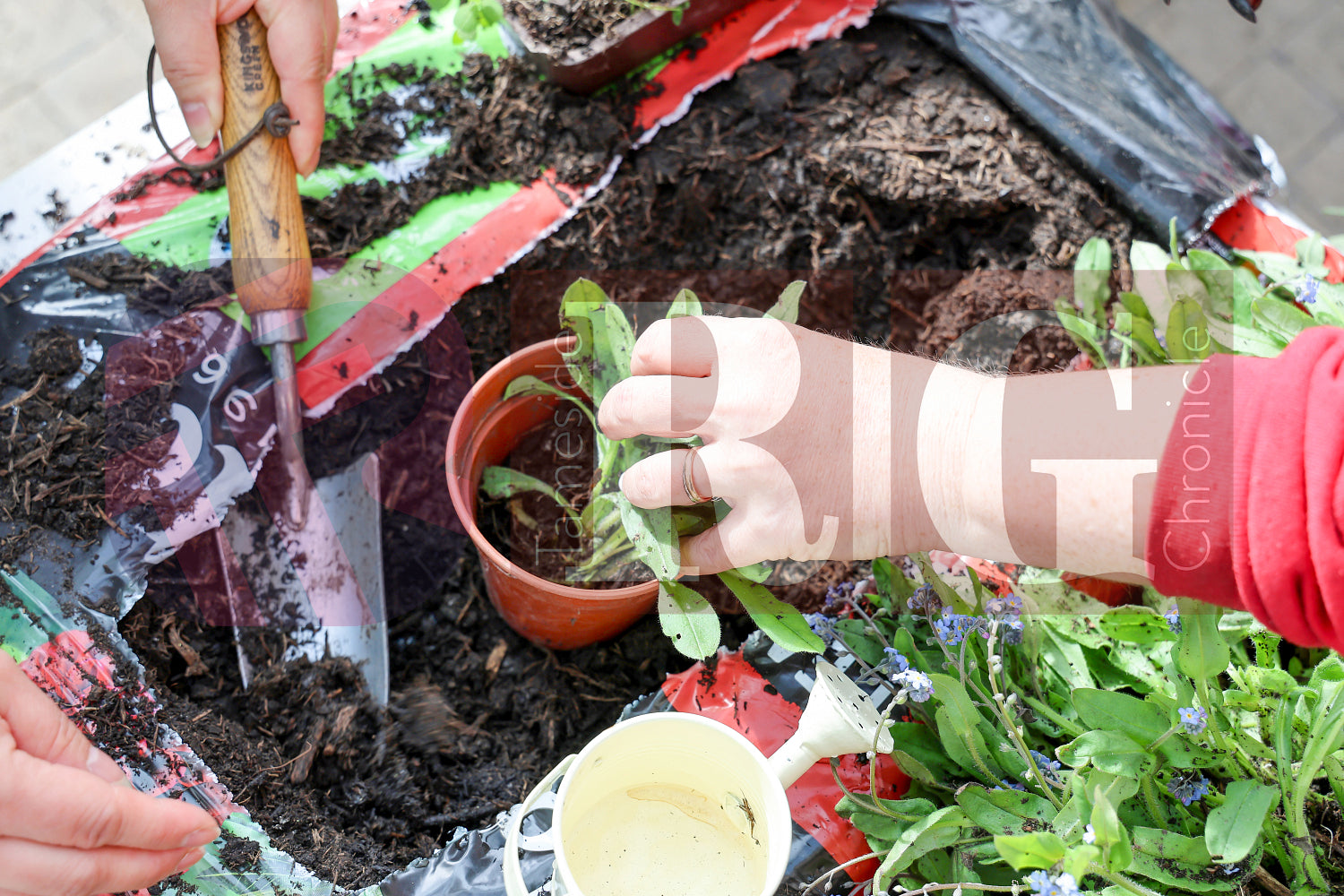 PLANT & SWAP EVENT TESCO STALYBRIDGE 2025 (53).JPG