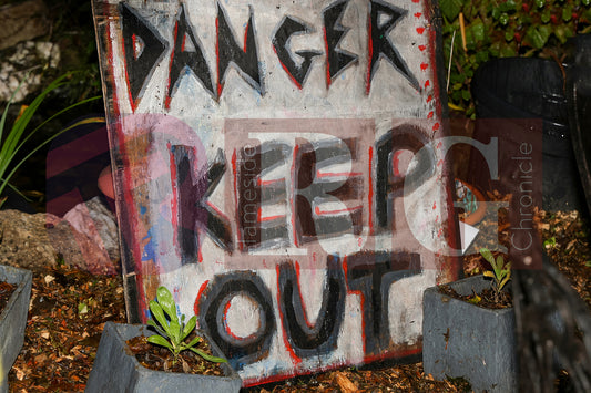 HALLOWEEN PARTY AT BLOOM HYDE (27).JPG