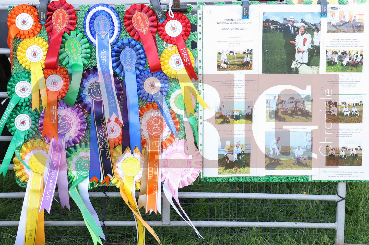 MOTTRAM SHOW  2025 (54).JPG