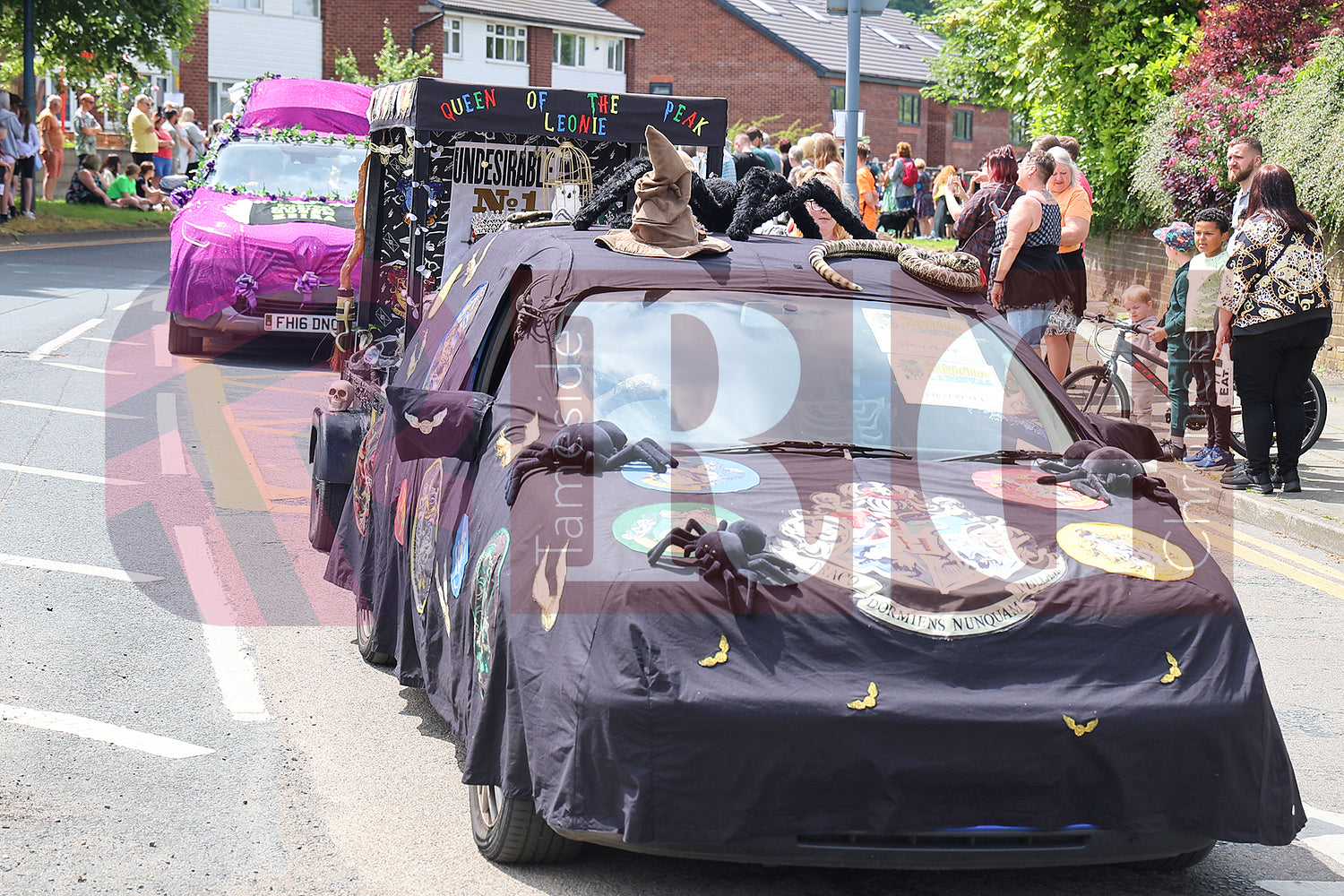 STALYBRIDGE CARNIVAL 2024 (87).JPG