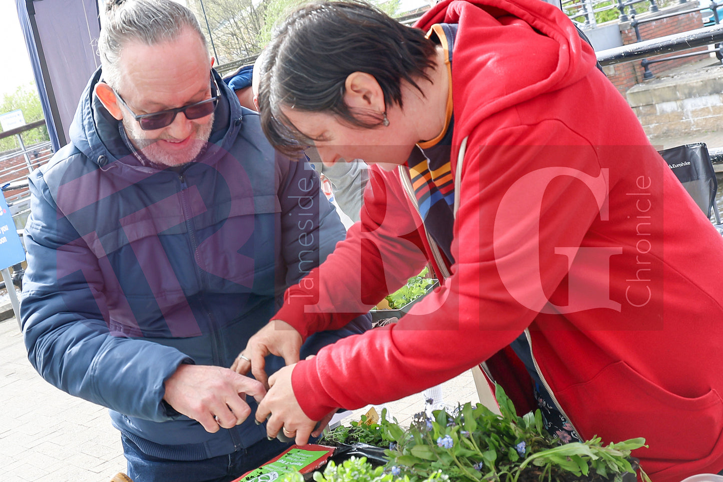 PLANT & SWAP EVENT TESCO STALYBRIDGE 2025 (31).JPG