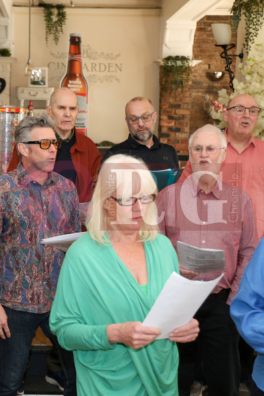 BRIDGE GOT TALENT AUDITIONS 2025 (9).JPG