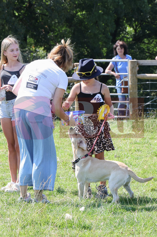 MOTTRAM SHOW  2025 (107).JPG