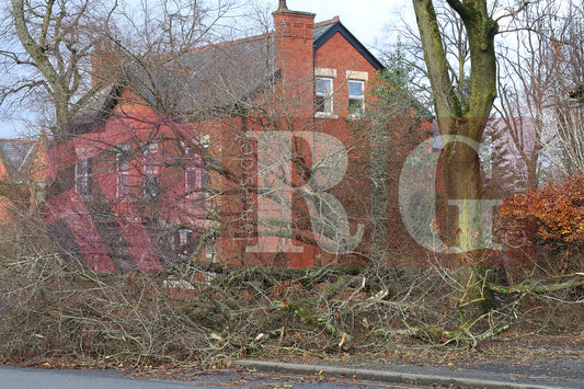 STORM CLAUDIA MOTTRAM ROAD 2025  (3).JPG