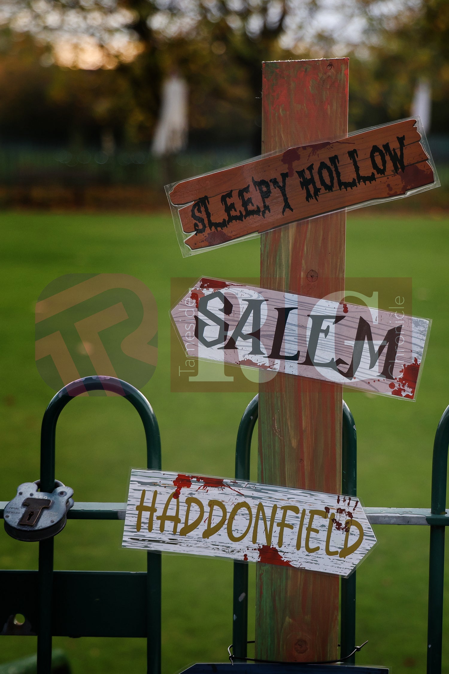 HALLOWEEN WATERLOO PARK (4).JPG