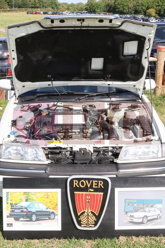 MOTTRAM SHOW  2025 (158).JPG