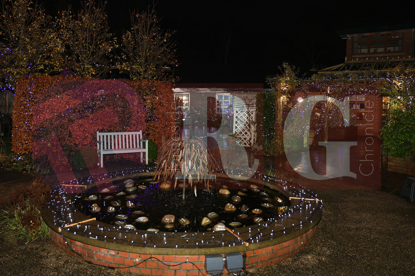 WILLOW WOOD LIGHTS 2024 (59).JPG