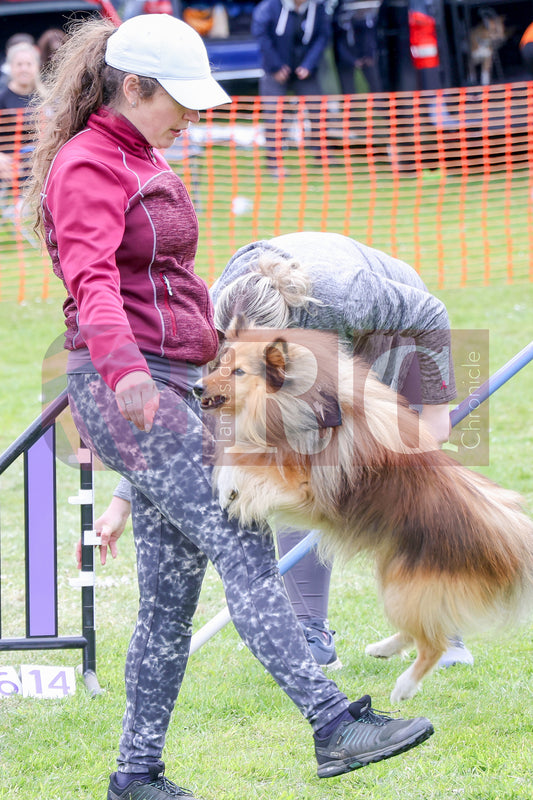 STALYBRIDGE SPRING SHOW (79).JPG