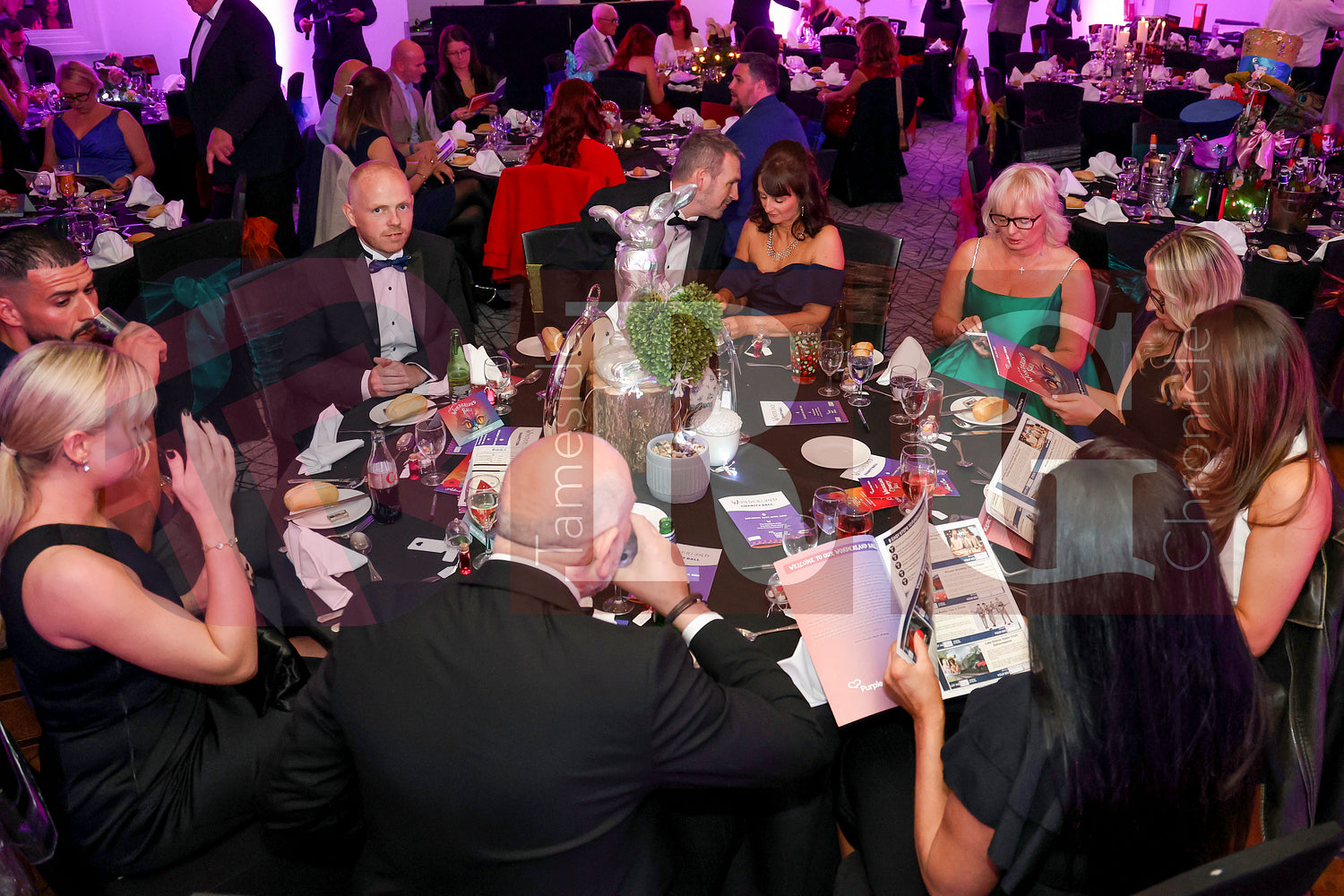 PURPLE HEART WISHES WONDERLAND BALL (63).JPG