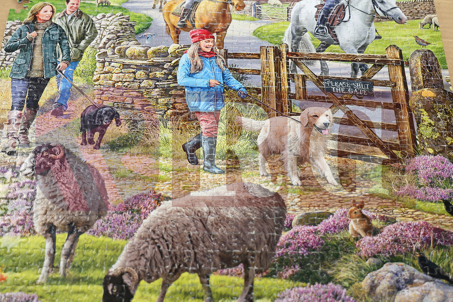 ST ANDREWS CHURCH JIGSAW FESTIVAL (39).JPG