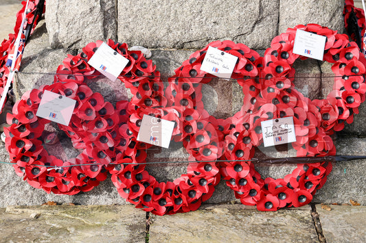 TINTWISTLE WAR MEMORIAL 2025 (131).JPG