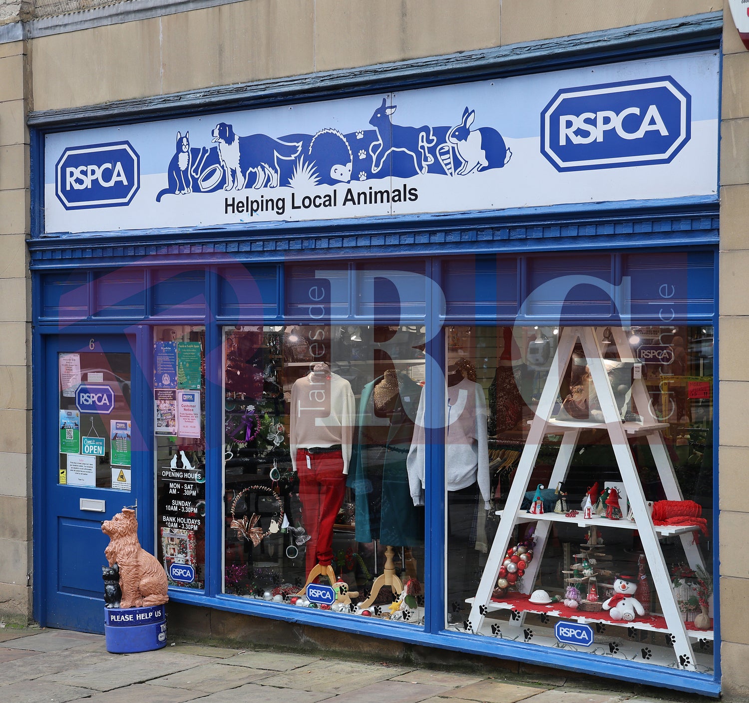 GLOSSOP SHOP XMAS WINDOWS 2024 (43).JPG