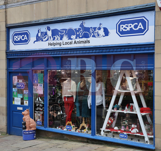 GLOSSOP SHOP XMAS WINDOWS 2024 (43).JPG