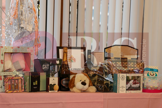 CIVIC MAYOR'S AFTERNOON TEA  (14).JPG