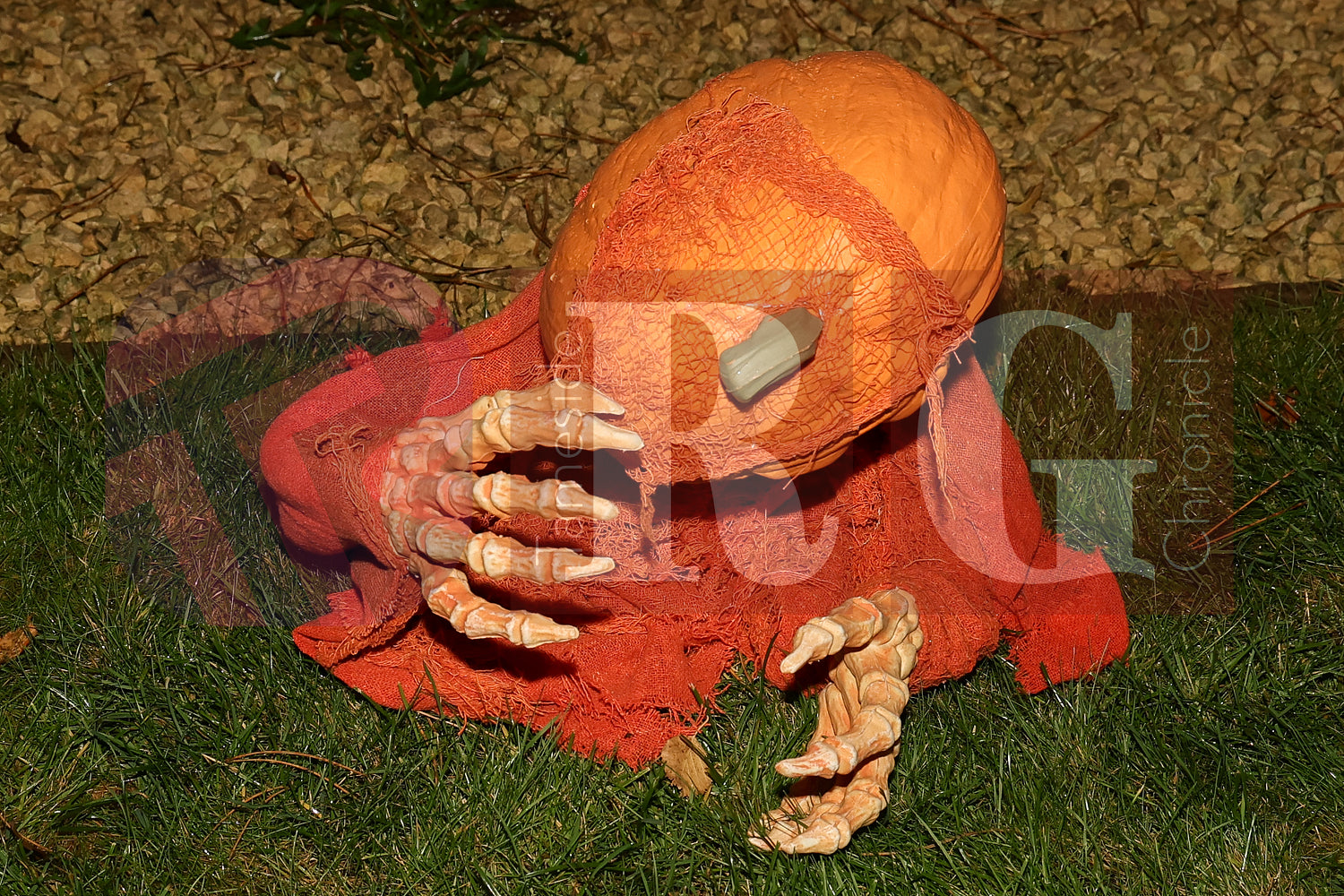 PIRATES OF THE HALLOWE'EN' HADFIELD (24).JPG