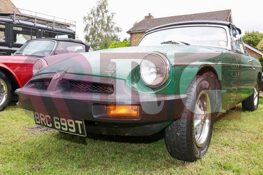 FESTIVAL ON THE GREEN 2025 (92).JPG