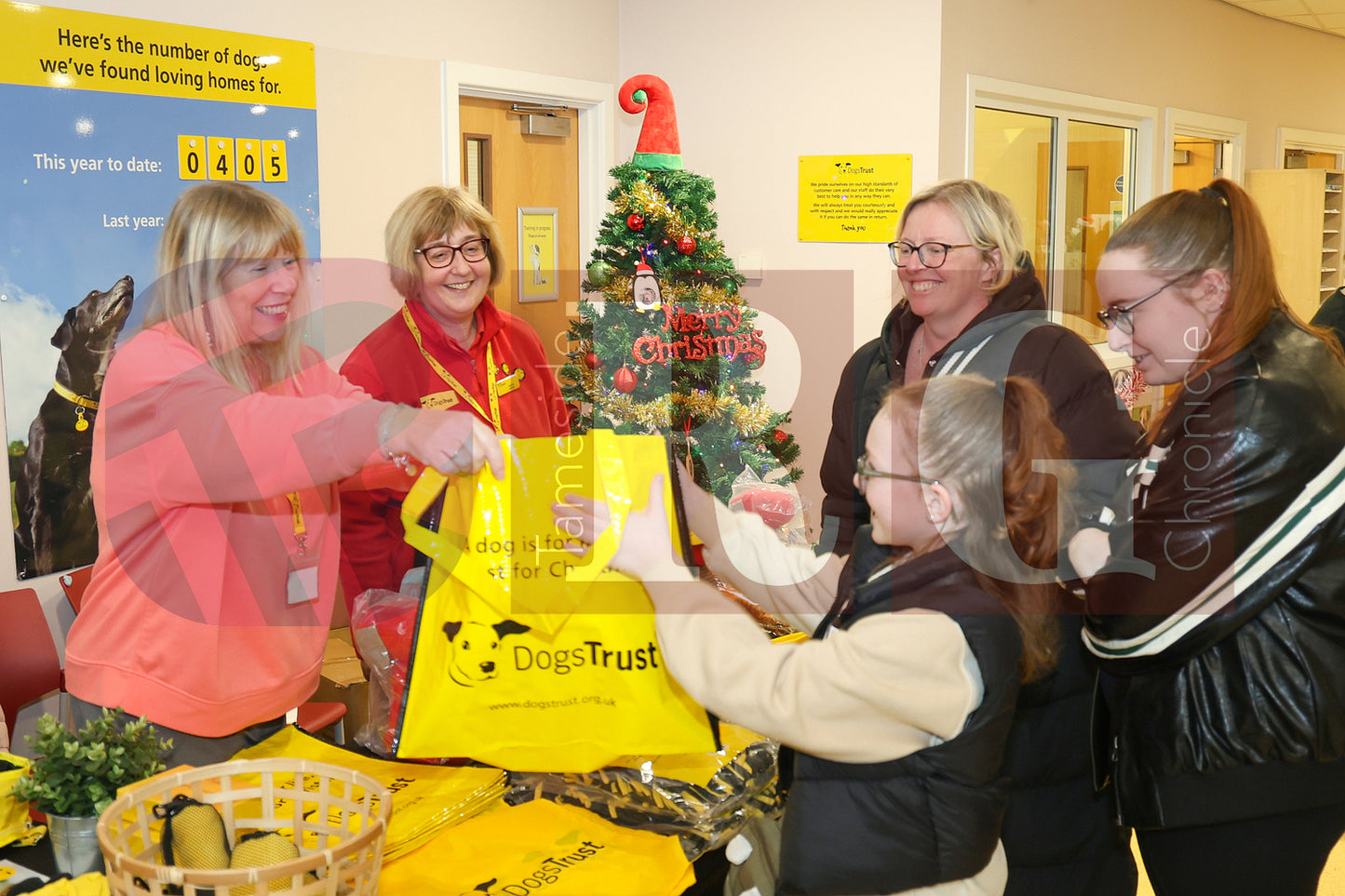 DOG TRUST DENTON XMAS (75).JPG