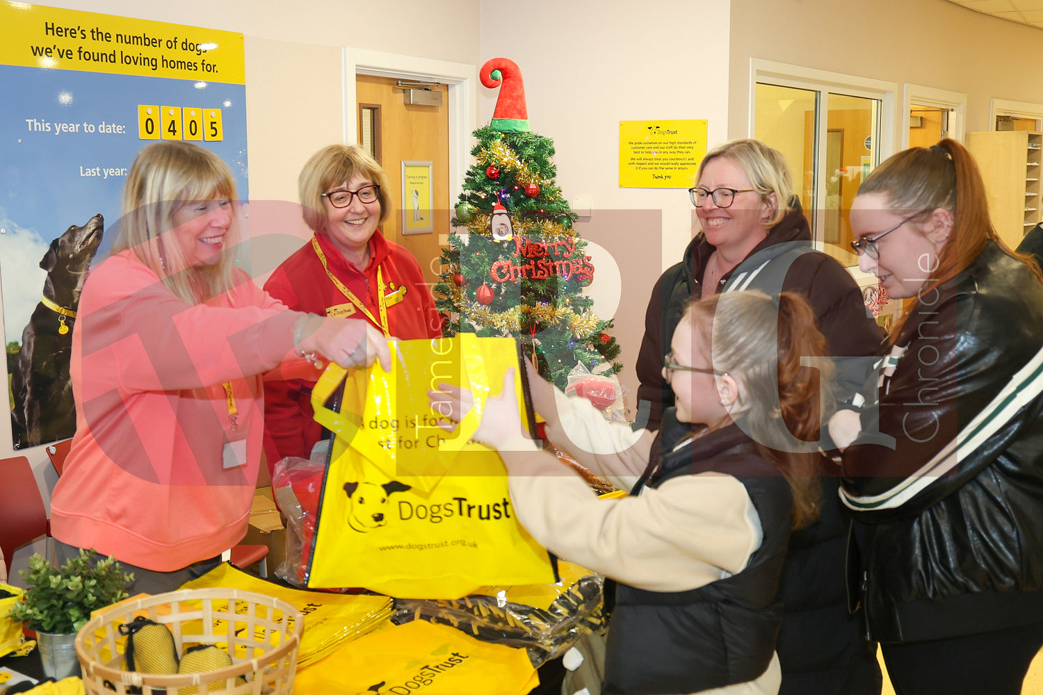 DOG TRUST DENTON XMAS (75).JPG