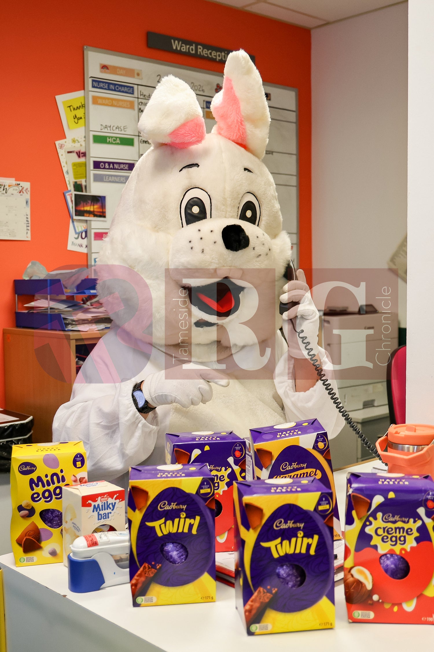 TAMESIDE HOSPITAL CHILDRENS WARD EASTER STAGECOACH (36).JPG