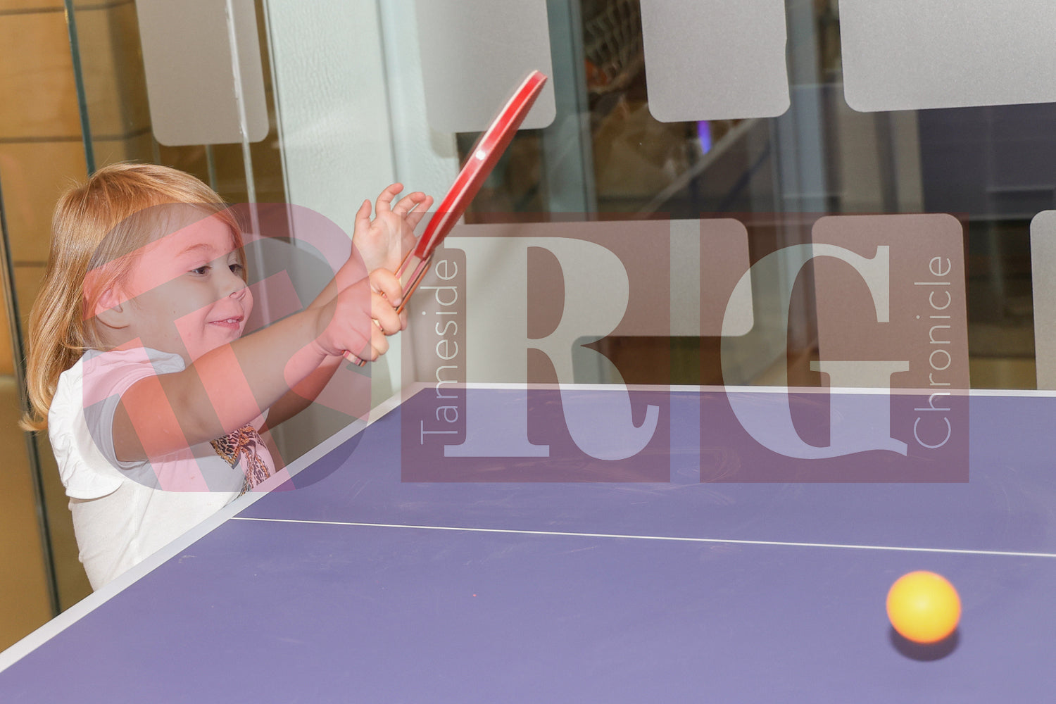 FAMILY FUN DAY ASHTON OLD BATHS (51).JPG