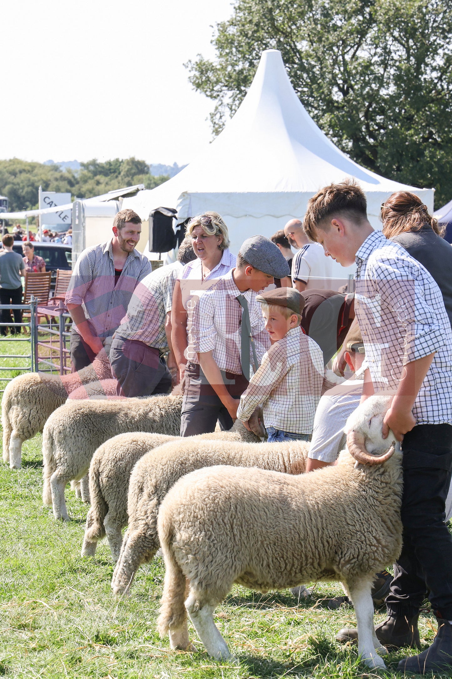 MOTTRAM SHOW  2025 (32).JPG