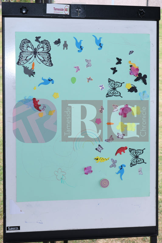 WATERLOO PARK BRITAIN IN BLOOM 2025 (42).JPG