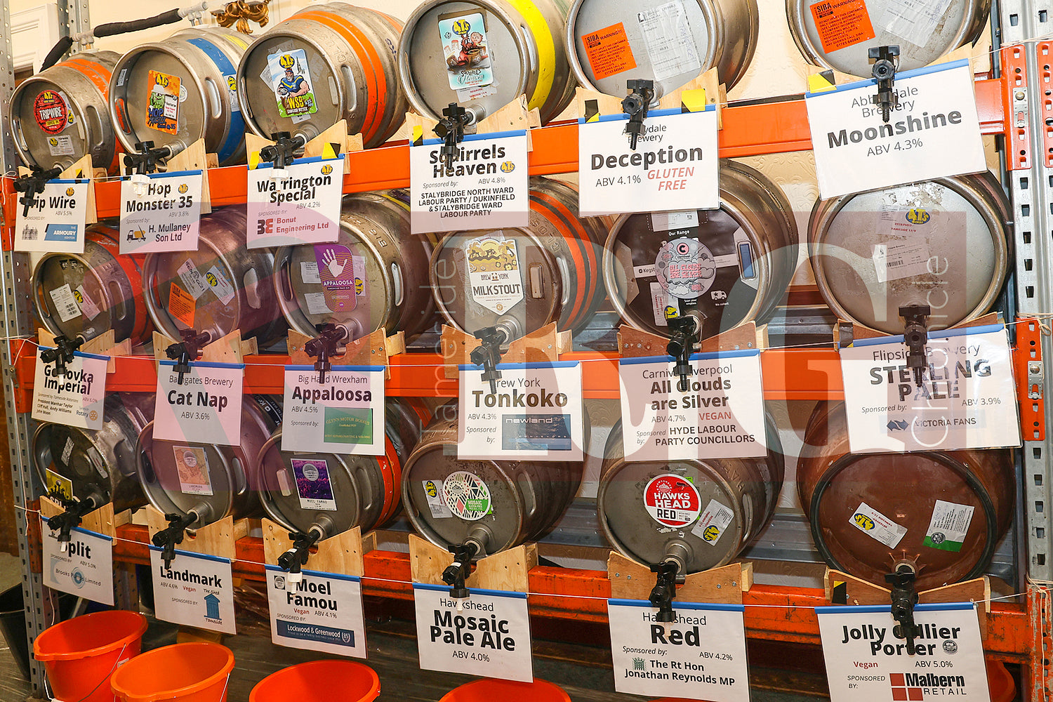 TAMESIDE BEER FESTIVAL 2024 (14).JPG