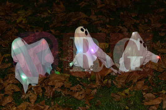 WATERLOO PARK  ASHTON HALLOWEEN  (50).JPG