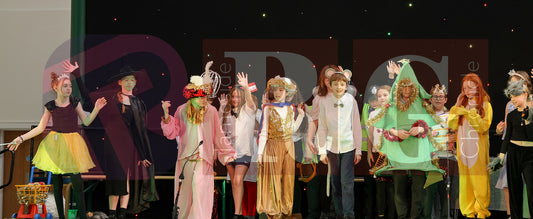STALYBRIDGE CIVIC HALL SCHOOL PANTOMIME (92).JPG