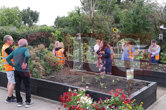 WATERLOO PARK BRITAIN IN BLOOM 2025 (34).JPG