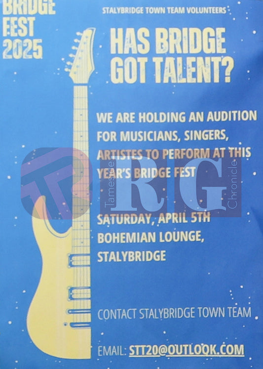BRIDGE GOT TALENT AUDITIONS 2025 (1).jpg