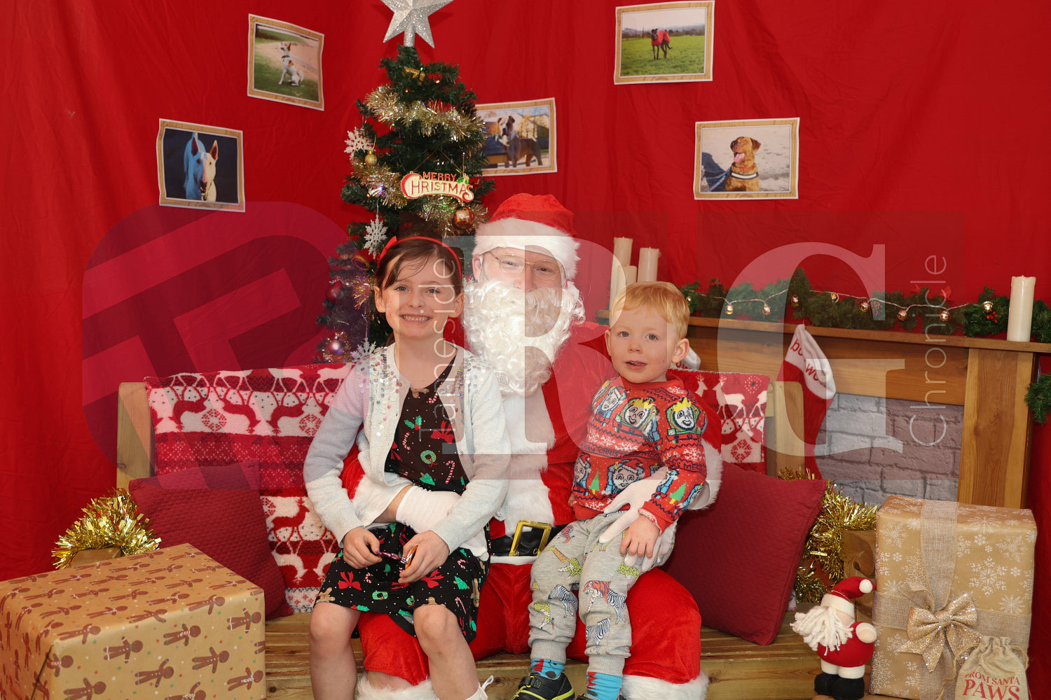 DOG TRUST DENTON XMAS (18).JPG
