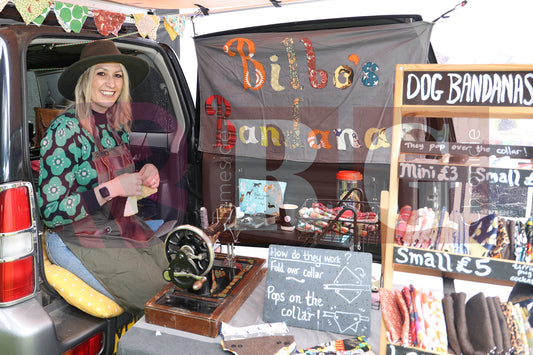 FESTIVAL ON THE GREEN 2025 (27).JPG