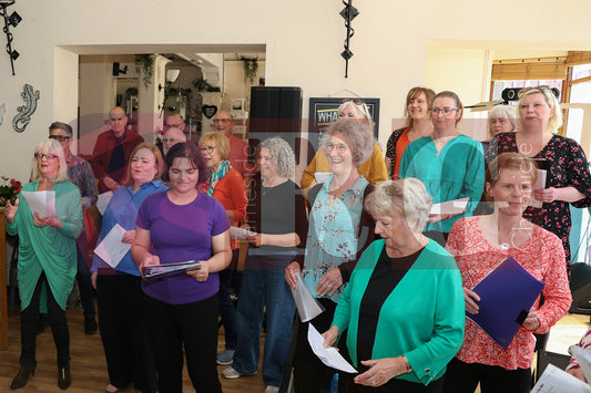 BRIDGE GOT TALENT AUDITIONS 2025 (16).JPG