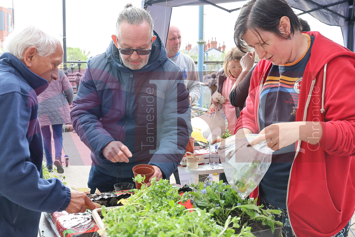 PLANT & SWAP EVENT TESCO STALYBRIDGE 2025 (33).JPG