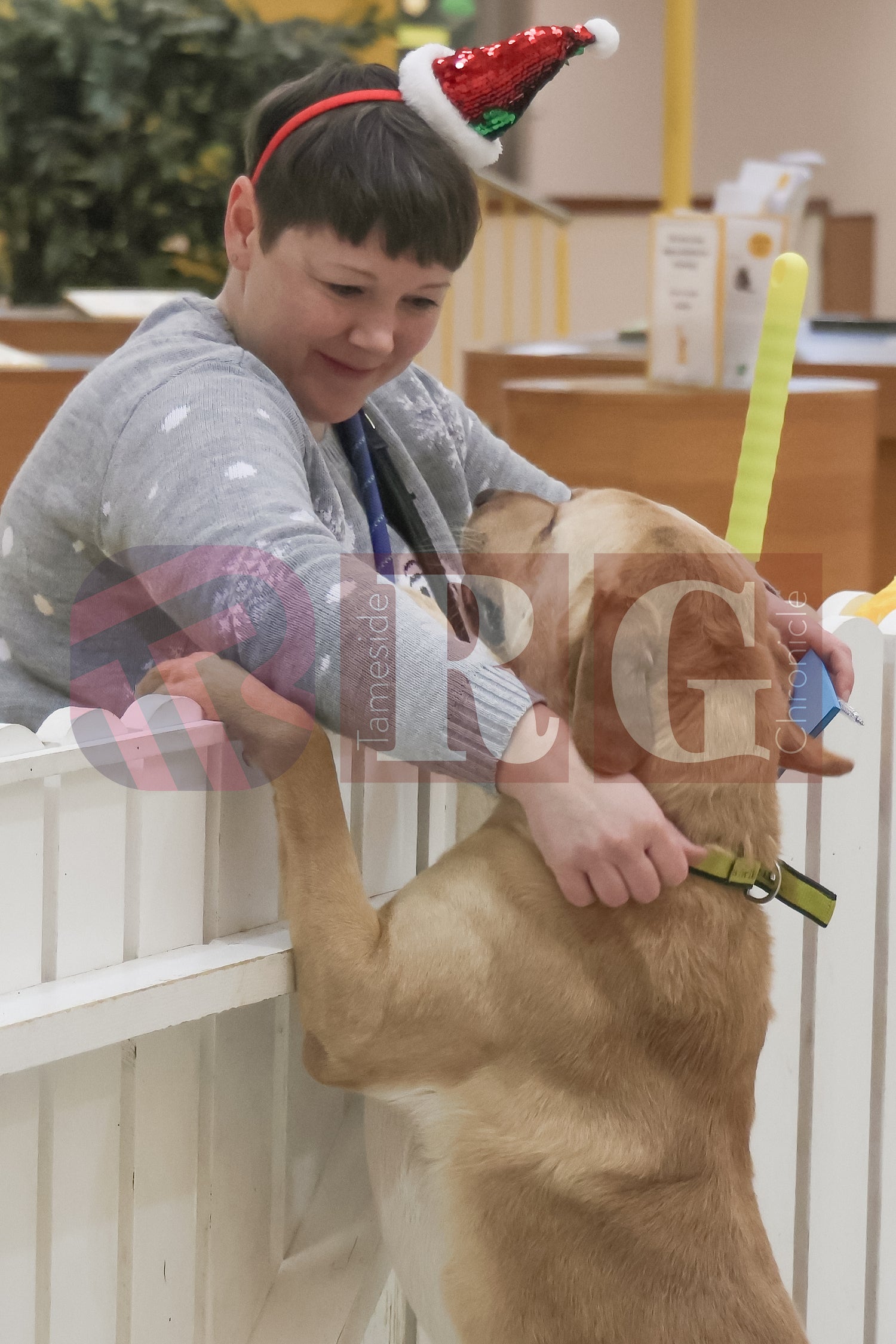 DOG TRUST DENTON JUMPER EVENT (6).JPG