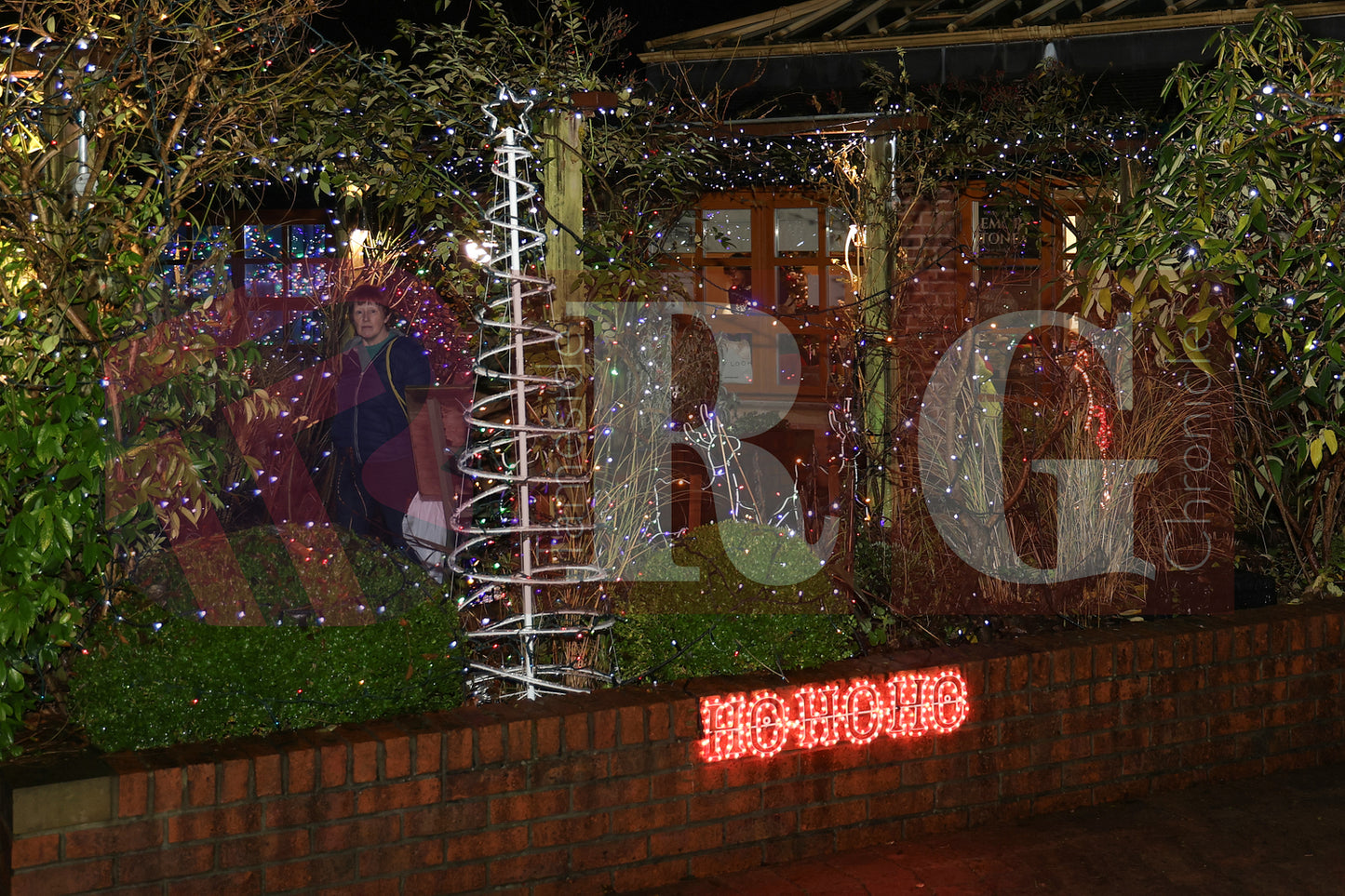 WILLOW WOOD LIGHTS 2024 (7).JPG