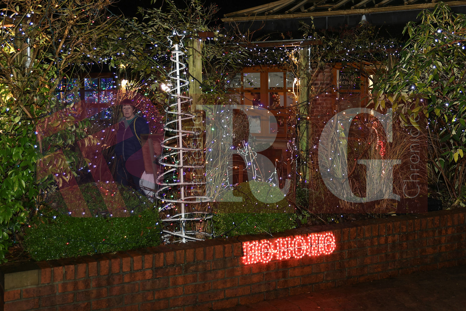 WILLOW WOOD LIGHTS 2024 (7).JPG