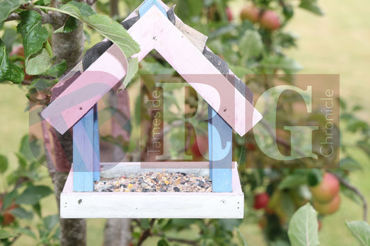 WATERLOO PARK BRITAIN IN BLOOM 2025 (5).JPG