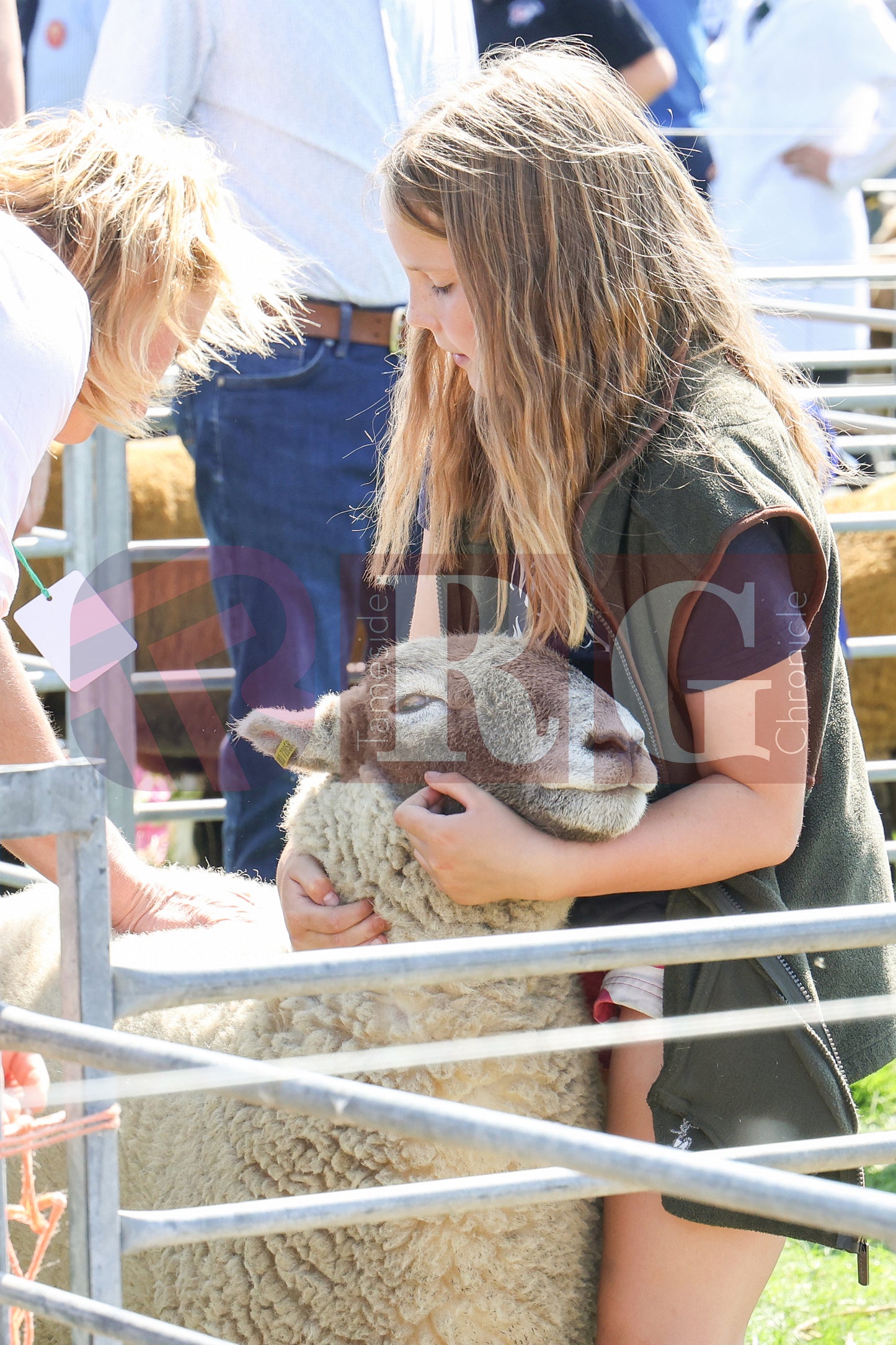 MOTTRAM SHOW  2025 (33).JPG