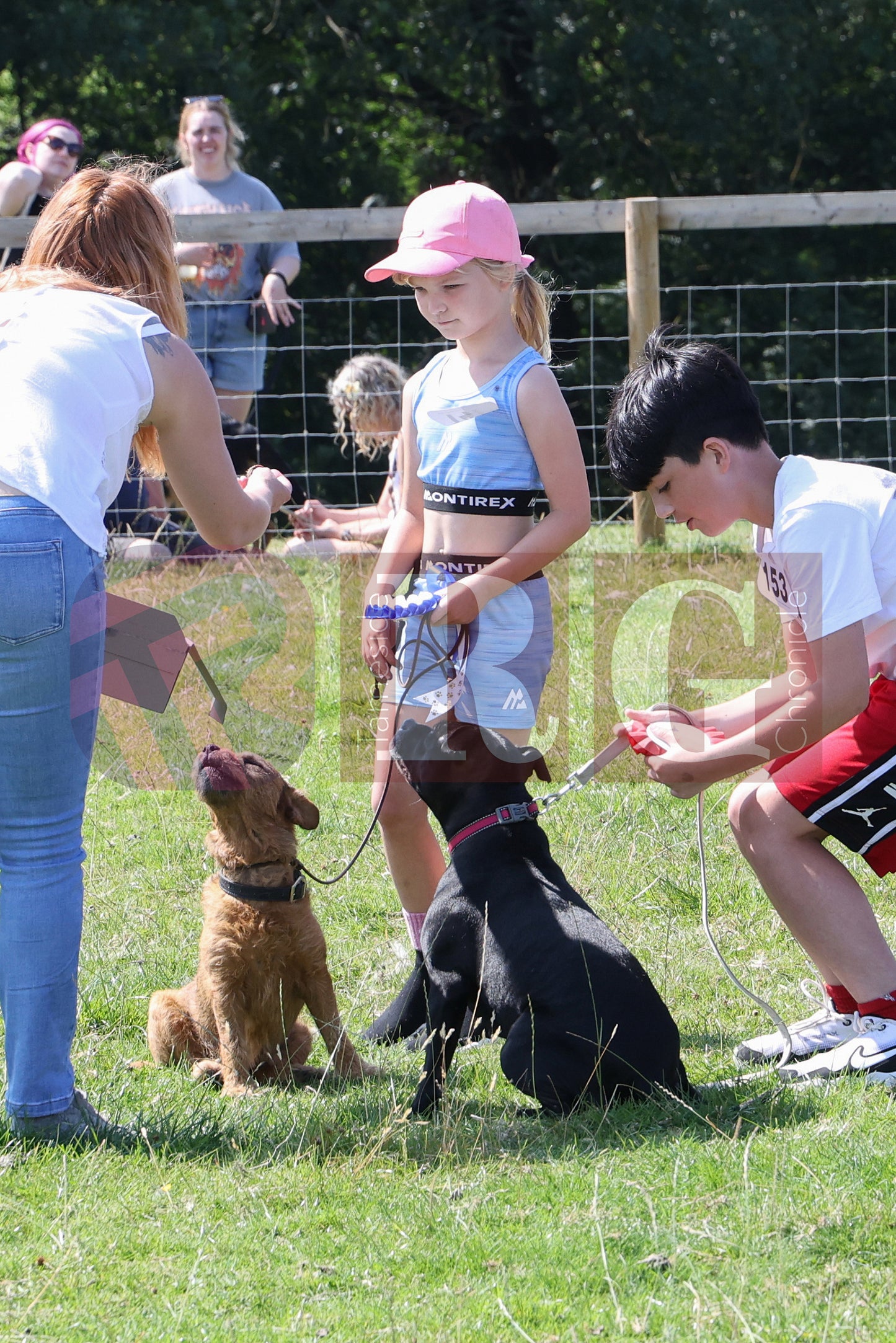 MOTTRAM SHOW  2025 (108).JPG