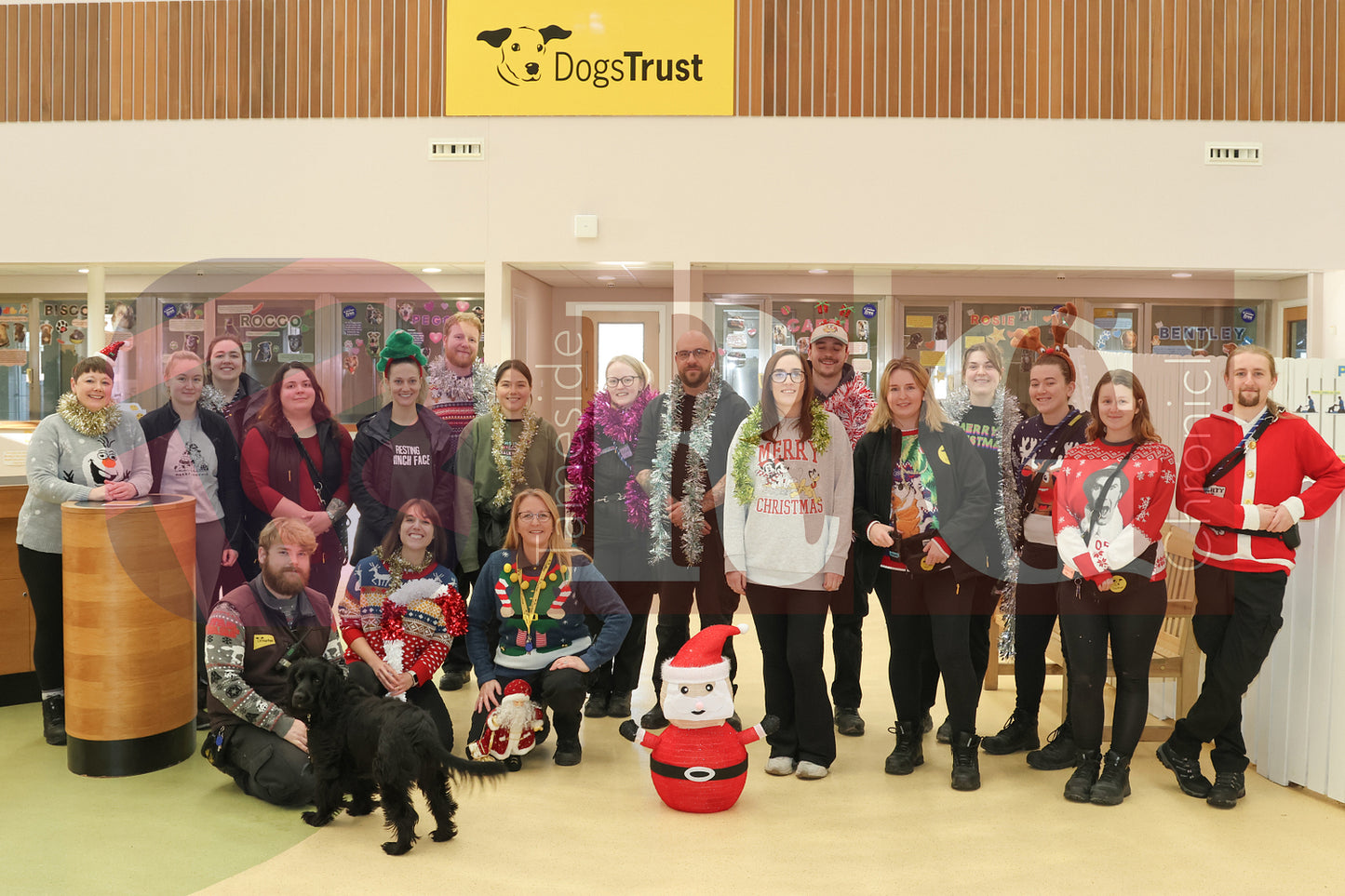 DOG TRUST DENTON JUMPER EVENT (19).JPG