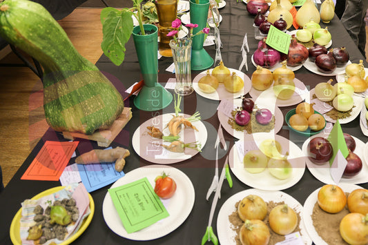 TINTWISTLE GARDENERS SHOW (21).JPG