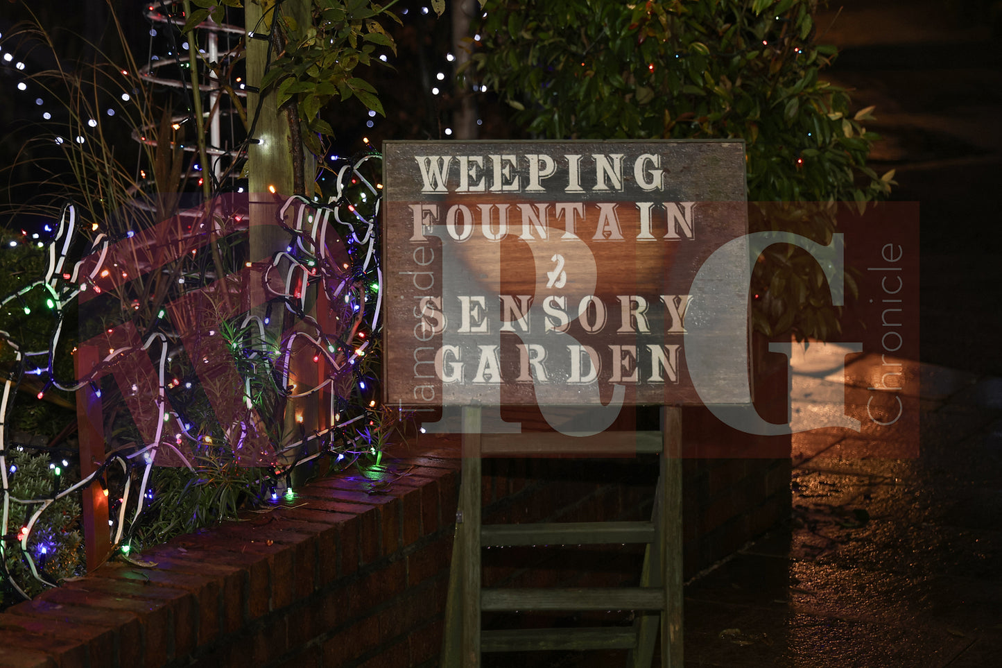 WILLOW WOOD LIGHTS 2024 (31).JPG