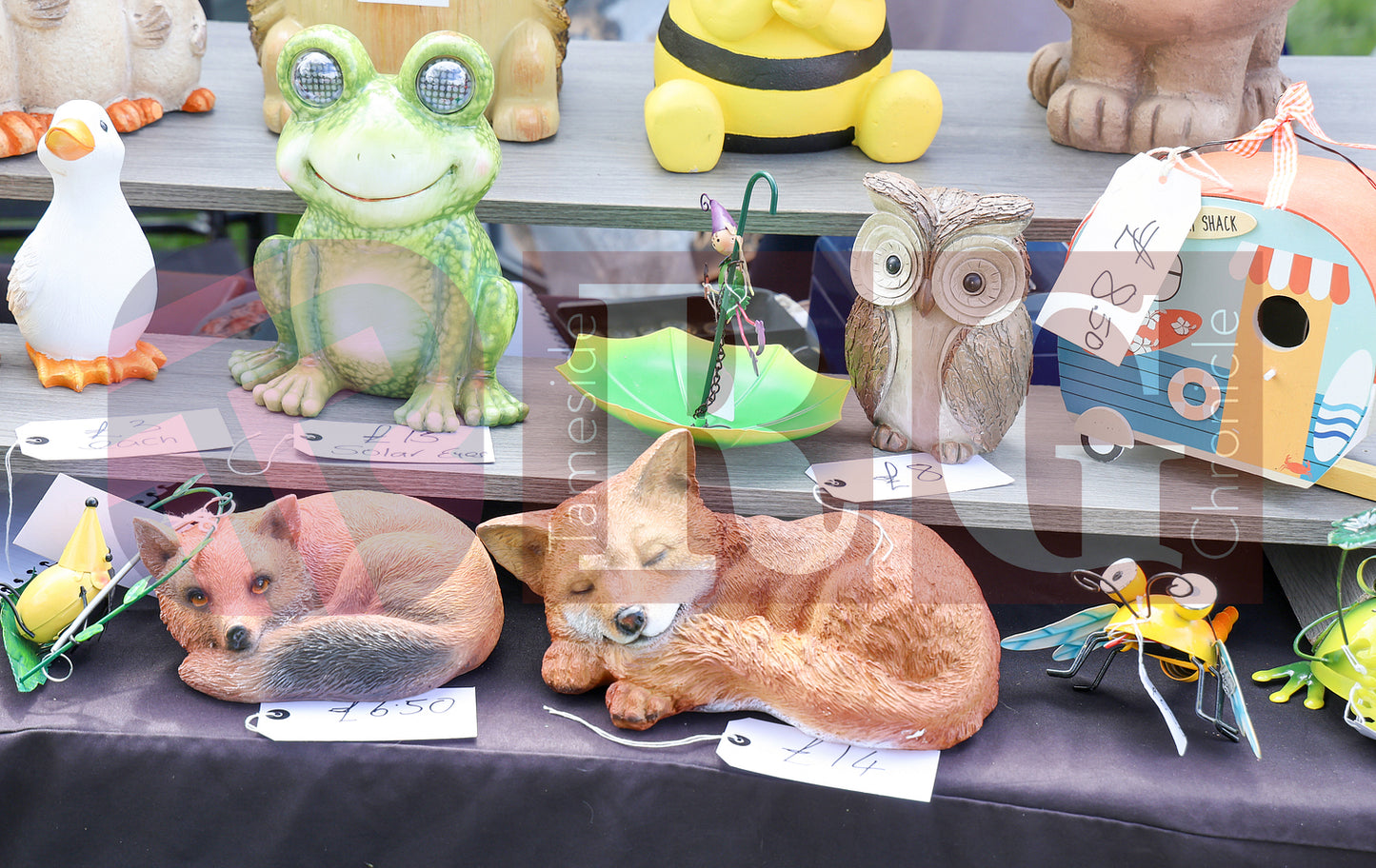 STALYBRIDGE SPRING SHOW (51).JPG