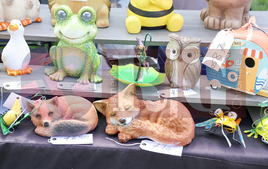 STALYBRIDGE SPRING SHOW (51).JPG