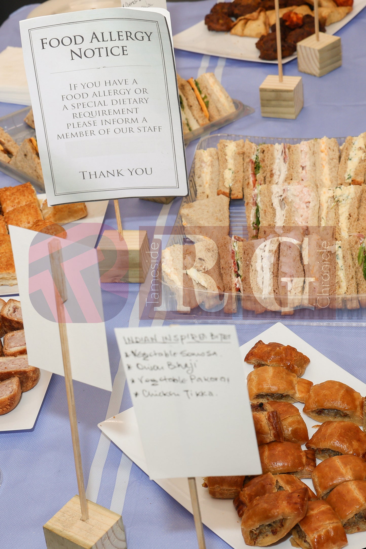 THE SHED 2025 (42).JPG