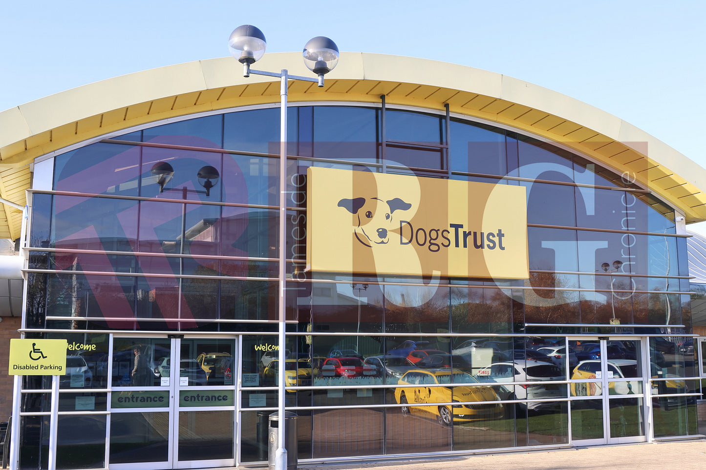 DOG TRUST DENTON JUMPER EVENT (31).JPG